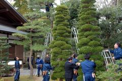 isejingu_kennou005_r