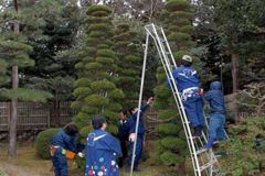 isejingu_kennou006_r