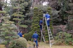isejingu_kennou007_r