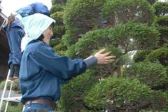 isejingu_kennou008_r
