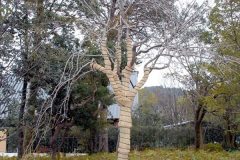 isejingu_kennou040_r-1