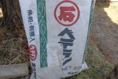 43th_isejingu_kennoh_h30_3-3_005_r
