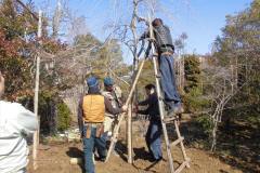 43th_isejingu_kennoh_h30_3-3_007_r