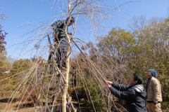 43th_isejingu_kennoh_h30_3-3_008_r
