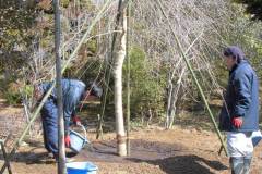 43th_isejingu_kennoh_h30_3-3_012_r