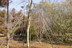 43th_isejingu_kennoh_h30_3-3_013_r