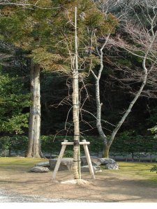 伊勢神宮献納行事 献木・内宮